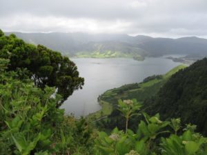 img_0001